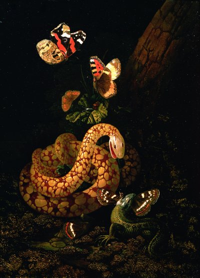 Still Life with Snake by Elias van den Broeck